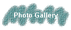 photo gallery
